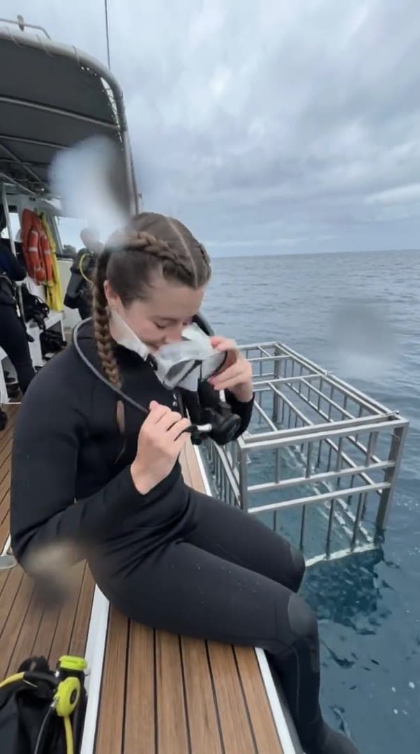 Shark Cage Diver preview 2
